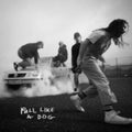 Pull Like a Dog LP