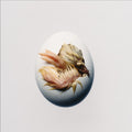 SWALLOW LP