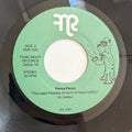 The Least Possible Amount Of Responsibility / Under The Stone (7")