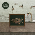 Ducks Back, Baby LP