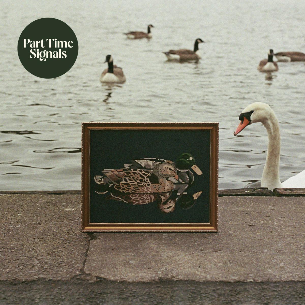 Ducks Back, Baby LP
