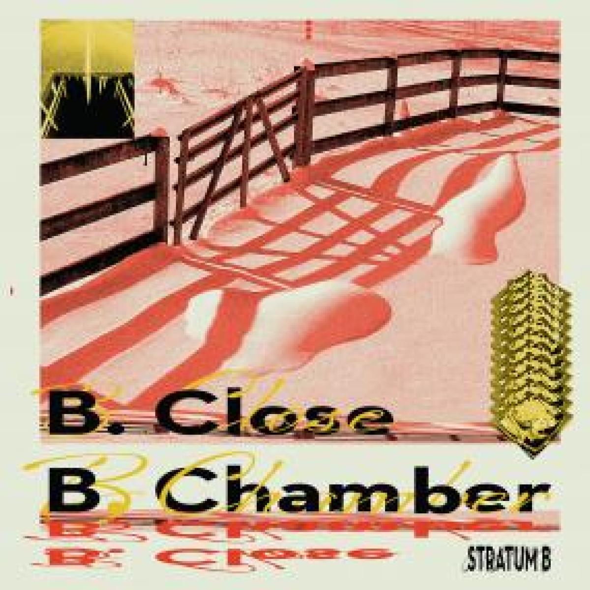 B. Chamber (Stratum B)