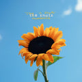 Joy In Short Moments LP