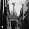 Vuelos Rasantes