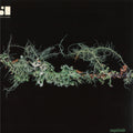 Symbiosis EP