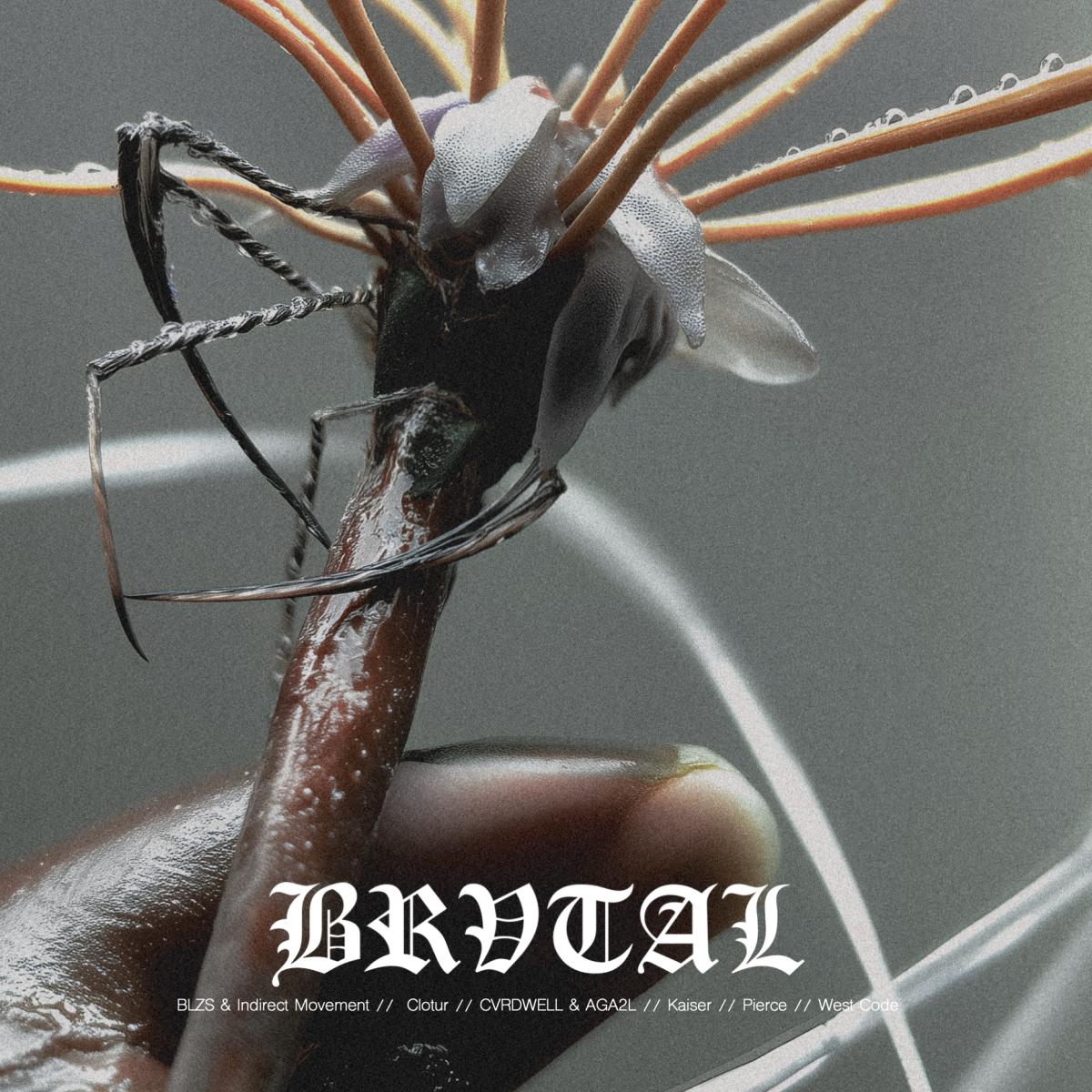 BRVOO08
