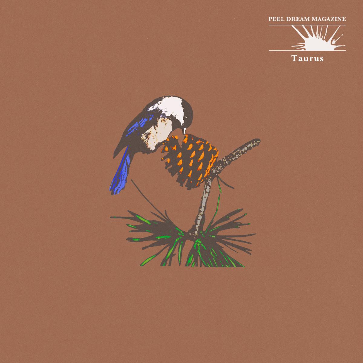 Taurus LP