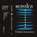 Yielded Ascension (TAPE)