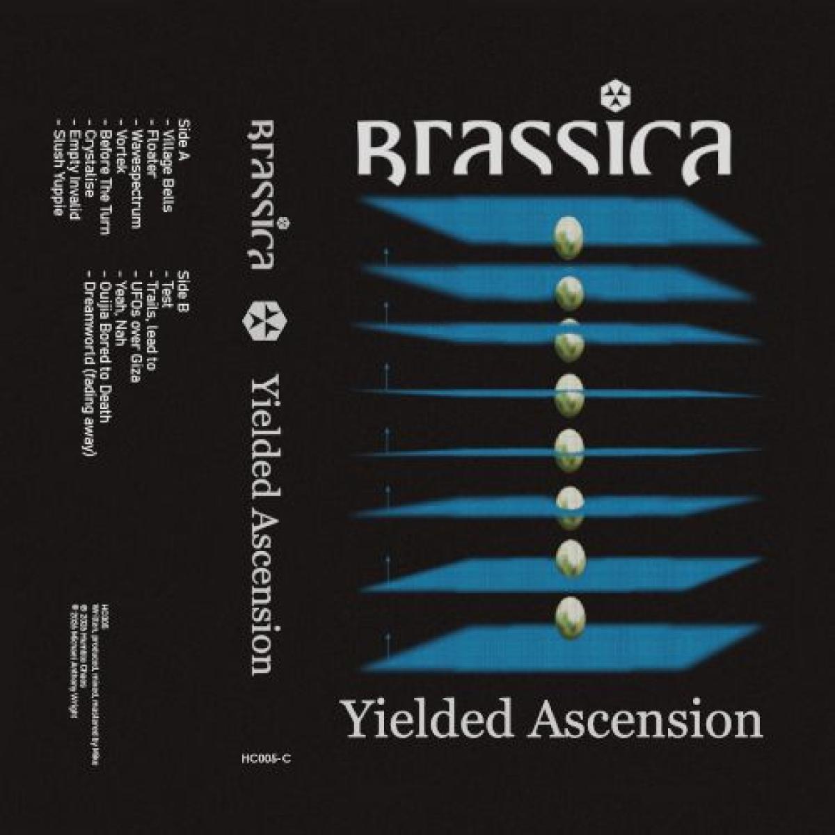 Yielded Ascension (TAPE)