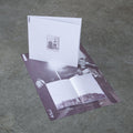 No Contact LP 2x12"