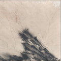 THINGS THAT VANISH