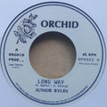Long Way